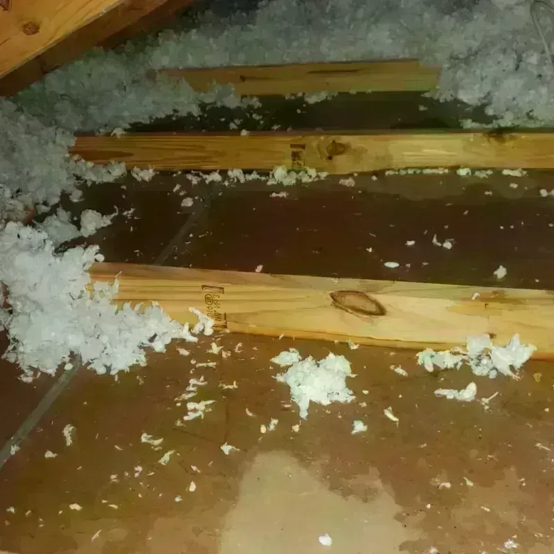 Attic Water Damage in Port Clinton, OH