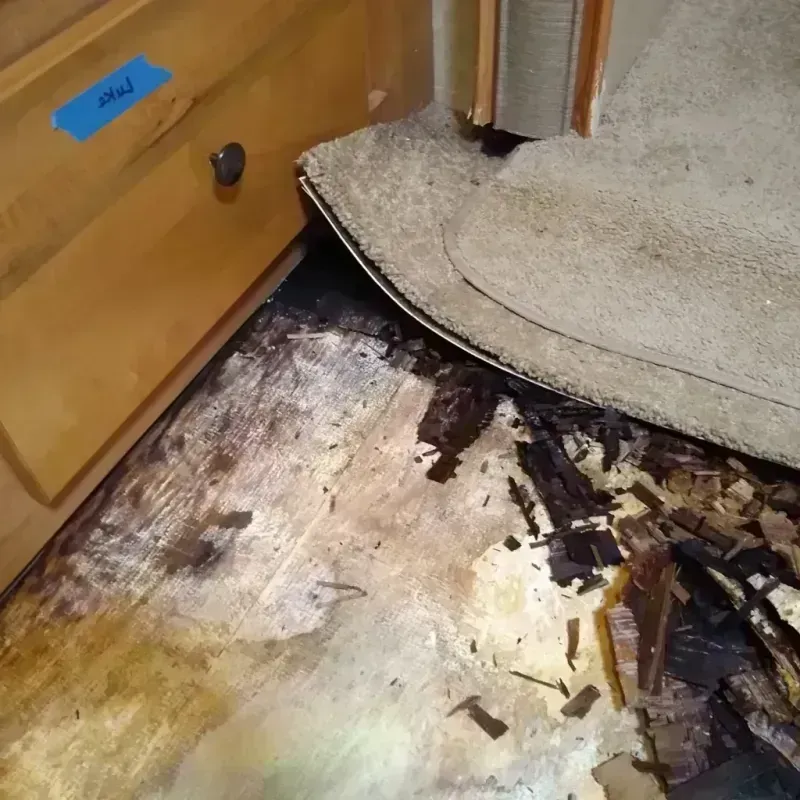 Wood Floor Water Damage in Port Clinton, OH